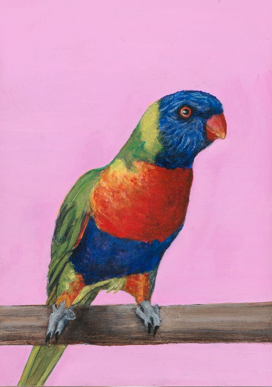 ANIMAL