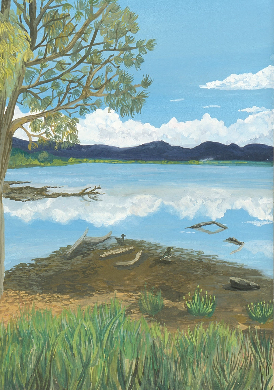 NATURE & LANDSCAPE