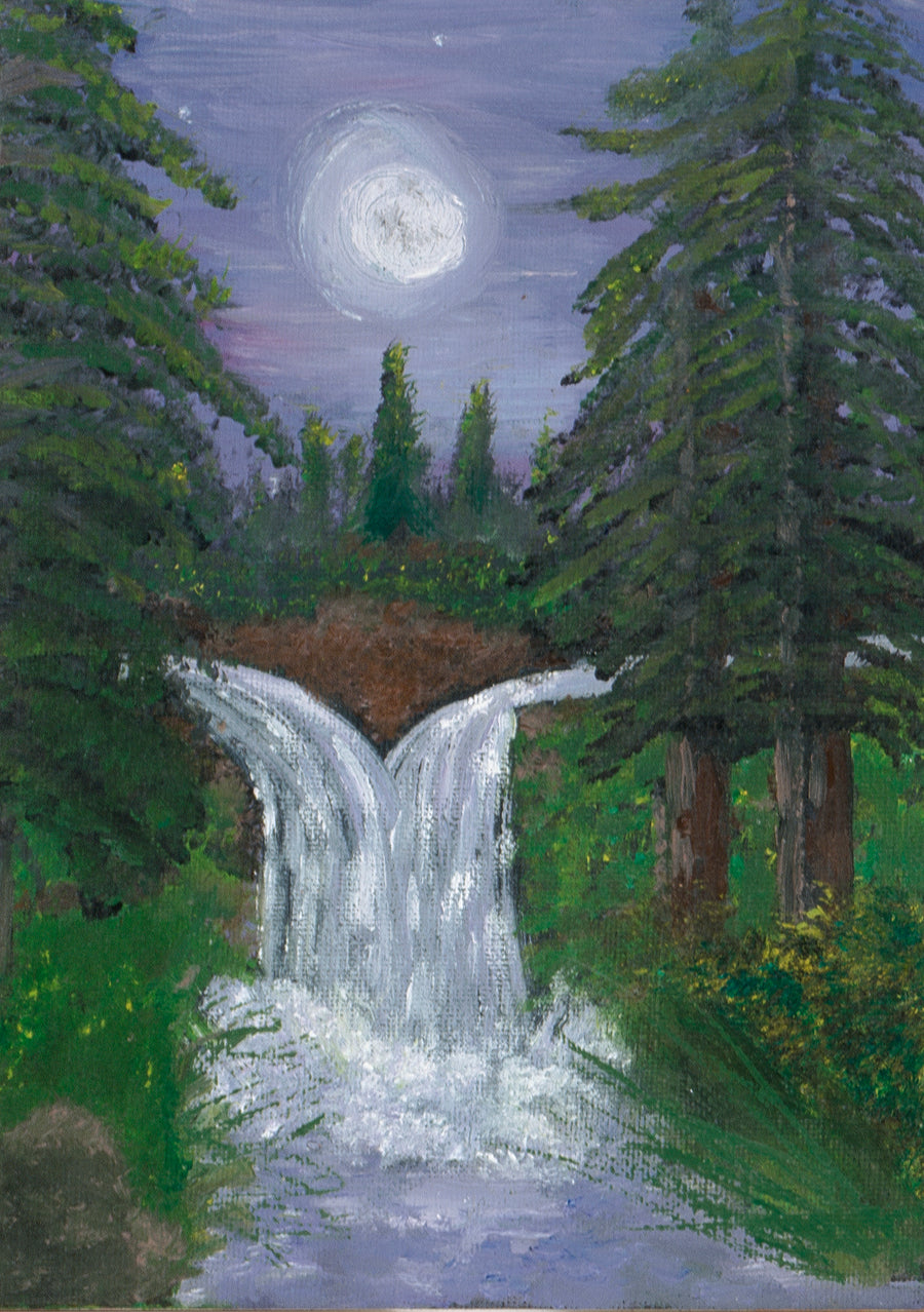 NATURE & LANDSCAPE